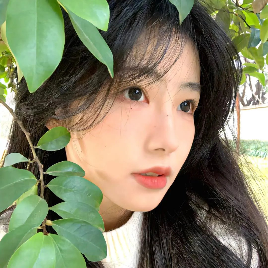 摇曳露营△第三季